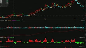 競價外包托管客服發(fā)貨篇 貨到付款如何用順豐軟件下單與競價冷門產品的軟件外包服務解析